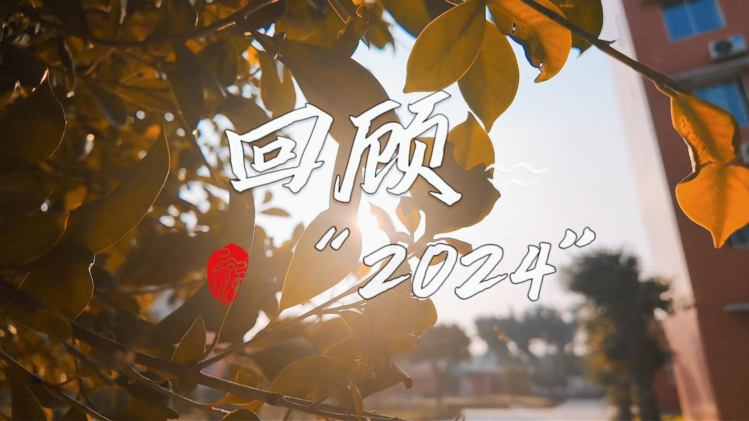 致敬2024，展望2025