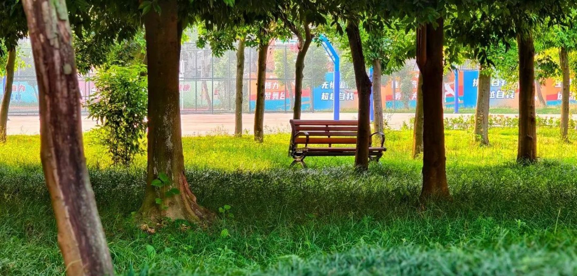 成都浩源学校2025年春天校园美景